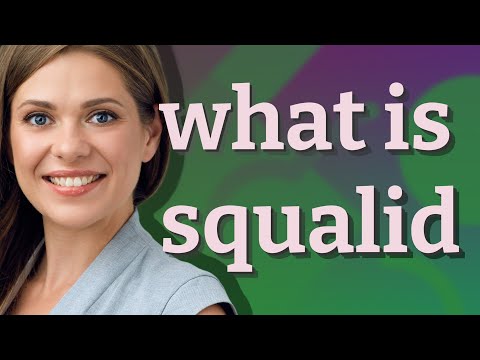 Squalid | meaning of Squalid