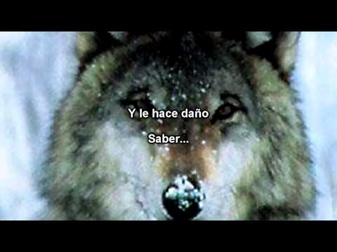 Sonata Arctica - Full Moon (Subtitulos Español)