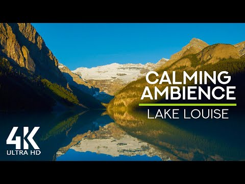 8 HOURS Birds Songs & Calming Ambience of Lake Waves Sounds - Amazing Mountain Lake 4K UHD