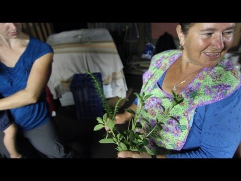 How to Make Chicharrones Costa Rican Style