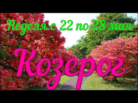 КОЗЕРОГ♑️Неделя с 22 по 28 мая.