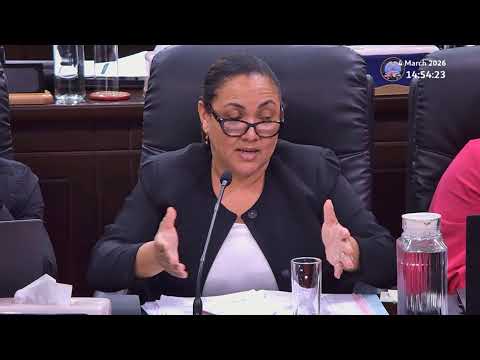 Budget 2026 Committee Stage - Sitting Wednesday 4 March 2026 Part 3