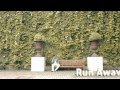 ARJUN - RUN AWAY (Thuli Thuli Rude Boy Remix ...