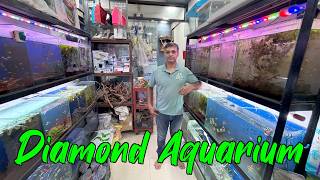 Diamond Aquarium shop in Dombivli