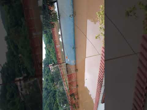 Enchente 28/01/2020. 6:50 horas...