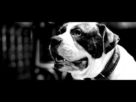 ERIK COHEN - KAPITÄN [OFFICIAL HD VIDEO]