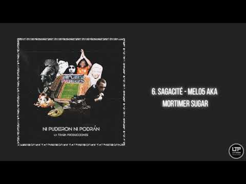 6. Sagacité - Melo5 aka Mortimer Sugar
