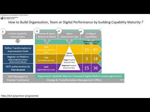 How to build Organisation, Team or Digital performance through Capability Building