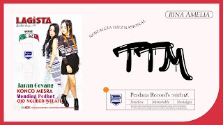 Download lagu Tewas Tertimbun Masa Lalu ( TTM ) - Rina Amelia - Lagista vol.7 mp3