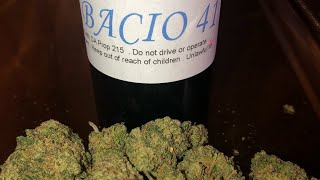 Bacio 41 Strain Review