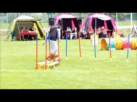 30. Května 2015 | JK animals agi cup 2015, Sedlec