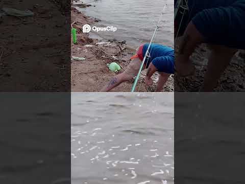 Pescador Atrapa Pez Muerto  ¡Mordida Mortal Revelada!
