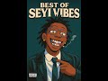 Best Of Seyi Vibez Nigerian Afrobeats Mix 2025 Seyivibeztypebeat Africanmusic