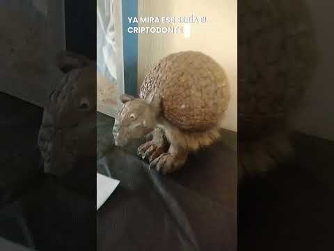 Yamila nos brinda su testimonio en San José, Catamarca, Argentina PARTE 2 final