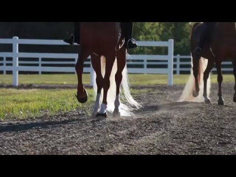 Columbia high schooler wins world championship in saddle seat horseback riding