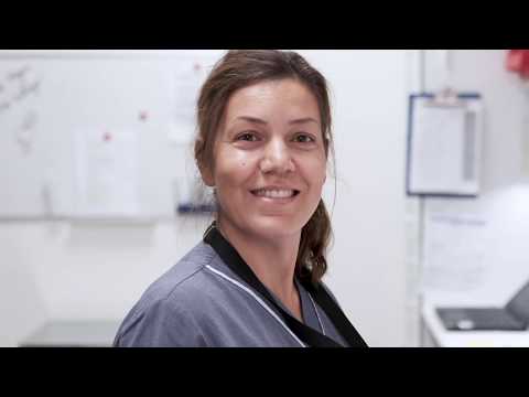 Jobba på akuten i Huddinge - Vi är som en familj