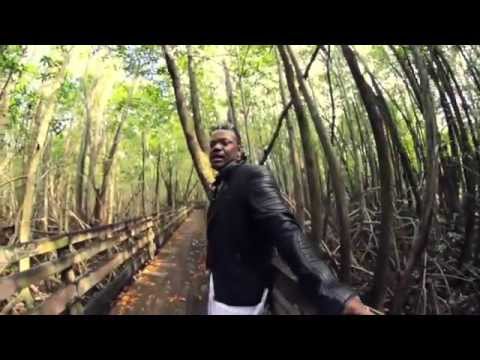 Top Adlerman (Vil La) - Byen Domaj