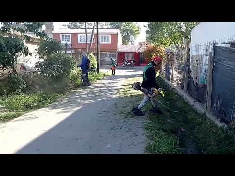 ecolomas 🚮♻️ 14/10/2022 Villa Amelia!! lomas de Zamora budge