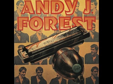 Andy J. Forest and Snapshots - I'm Back ( Andy J. Forest & The Snapshots ) 1982