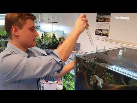 Watch Video on YouTube