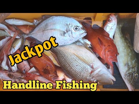JACKPOT | HANDLINE FISHING | PALANGRE
