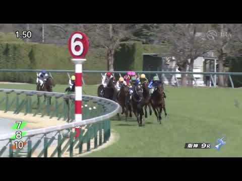 Satono Glanz (JPN) wins race 9 at Hanshin 03/11/2023
