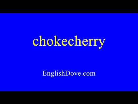 How to pronounce chokecherry in American English