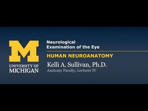 Nervous System: Neurological Examination of the Eye