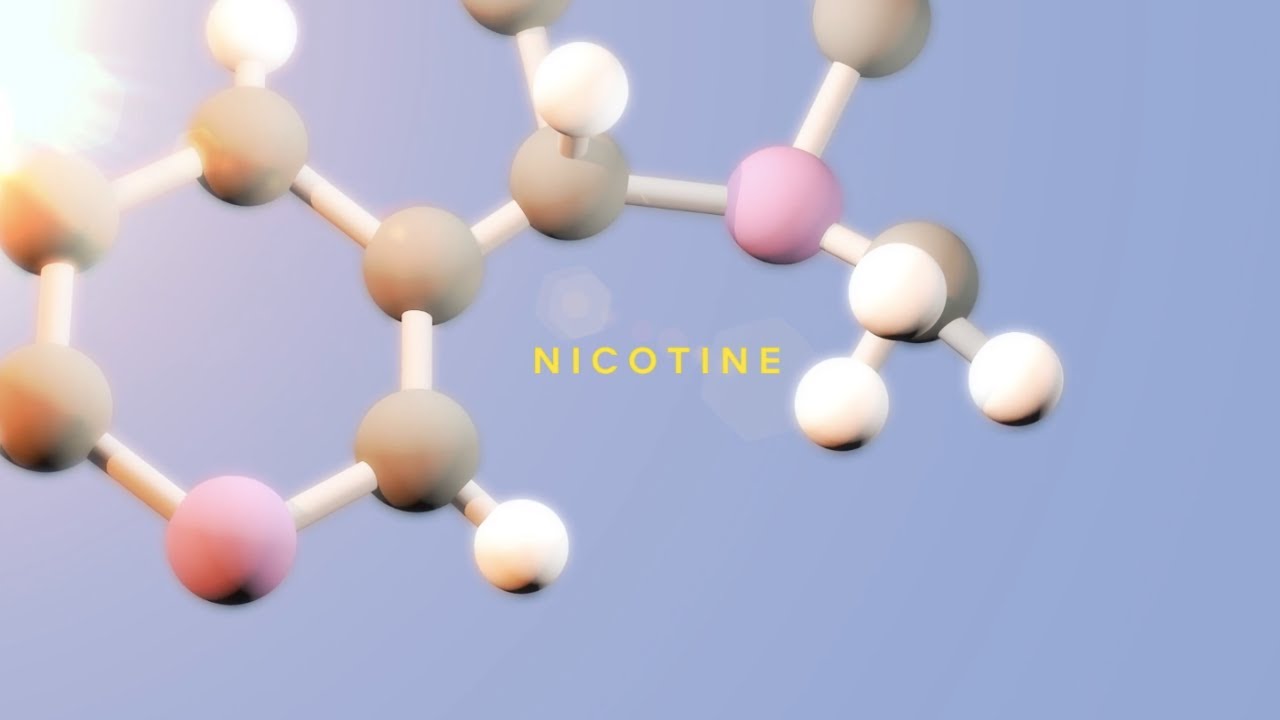 What is nicotine?
