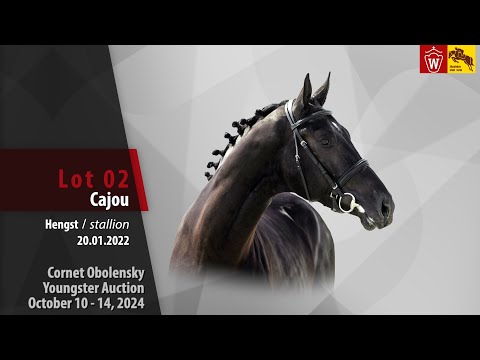Youngster-Auktion Lot 02 Cajou Hengst v. Cornet Obolensky - Casall