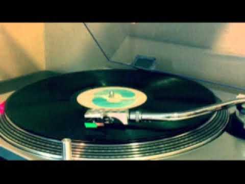 Serena - Flor de Cactus