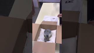 Download lagu Tekan beg buih untuk membungkus produk dengan rapat #Pembungkusan penghantaran mp3 Download lagu Tekan beg buih untuk membungkus produk dengan rapat #Pembungkusan penghantaran mp3