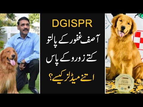 How DG ISPR Asif Ghafoor's Dog Became A Star | 9 News HD