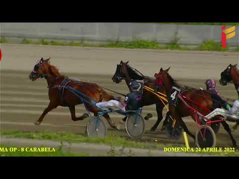 Prova di qualifica del 24 Aprile 2022 - 3 Anni - Metri 2000