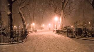 John Foxx - When The City Stops For Snow