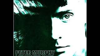 Peter Murphy - A Strange Kind of Love (Electric Remix  by Pedrobol)