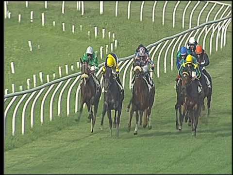 Galoppo 08/06/2016 - 6° corsa