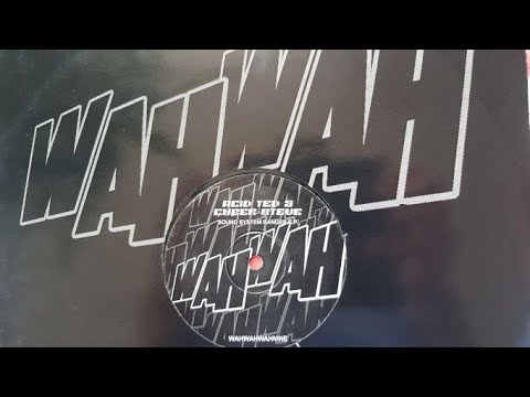 SOUND SYSTEM BANGER EP - WAHWAHWAH 09 /// a1: ACID TED & CYBER STEVE - ORIGINAL mix