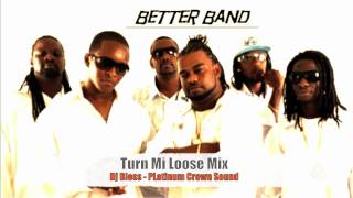 Better Band Movements Carnival 2010 Mixx HD!! {DJ Bless}