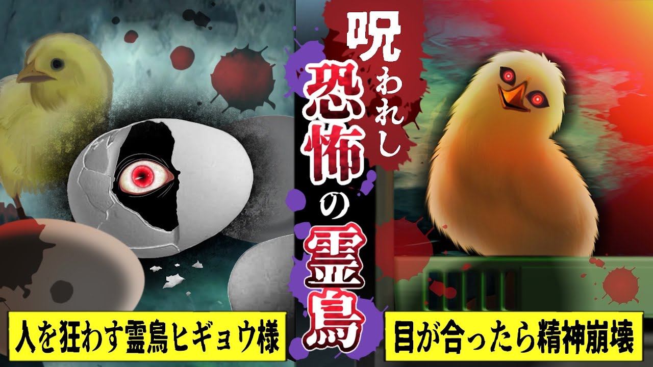 【怖い話】「呪われし恐怖の霊鳥『ヒギョウ様』12時に生まれた雛は必ず処分しないと魂を抜き取られる…」【漫画】