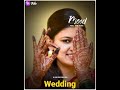 Best Wedding Status Aadiwasi Vorad Status Aadivasi Status Shortfeed Viral
