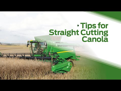 Straight Cutting Canola Tips