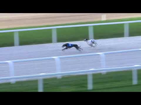 2018.09.07. Agár futam