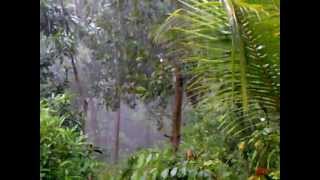 preview picture of video 'Mazha - the rain in kerala'