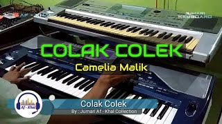 Download lagu Karaoke COLAK COLEK - Camelia Malik || KORG Pa.800 mp3
