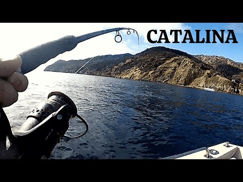 CATALINA ISLAND FISHING (Catch Clean Cook) BEST WAY TO EAT FISH
