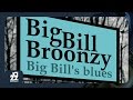 Big Bill Broonzy - You Do Me Any Old Way