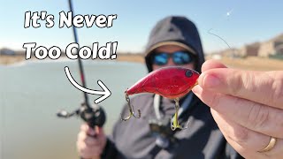 Catching Bass with Crankbaits after Winter Storm Fern! (Winter Bass Fishing Tips for Texas Ponds)