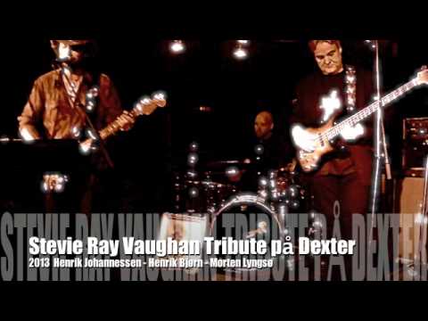 Stevie Ray Vaughan Tribute Dexter 2013 vol 1