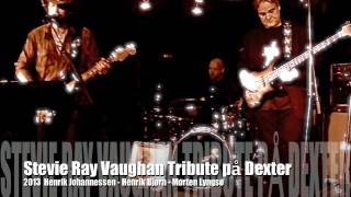 Stevie Ray Vaughan Tribute Dexter 2013 vol 1